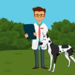 Come si sceglie il software gestionale per la clinica veterinaria 