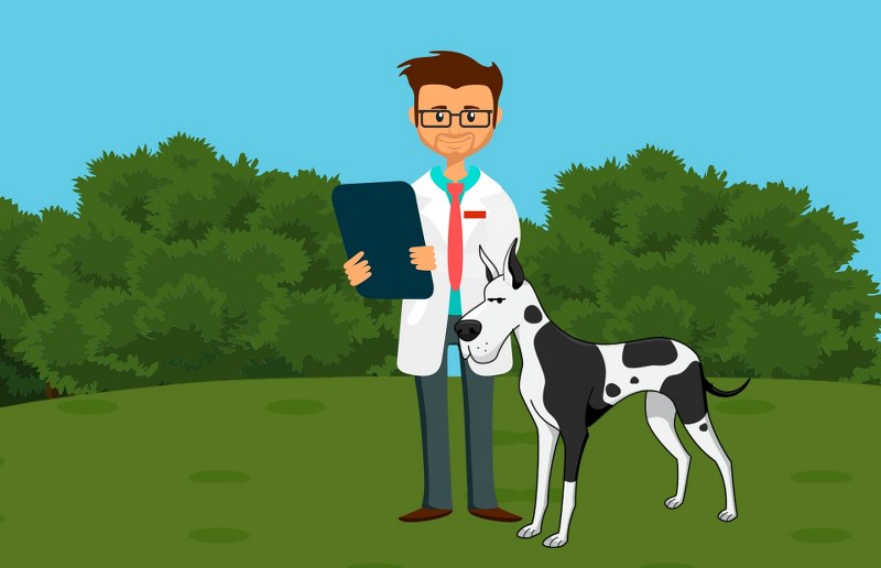 software-gestionali-per-veterinari