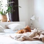 gaelle-marcel-awYrEHKWEk4-unsplash_800x532