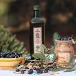 olive raccolta olio extravergine_1280x853