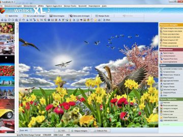 programma-per-modificare-foto_800x584