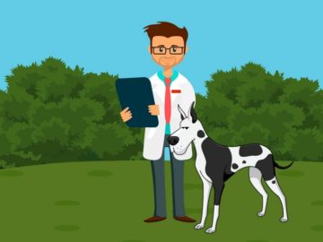 software-gestionali-per-veterinari